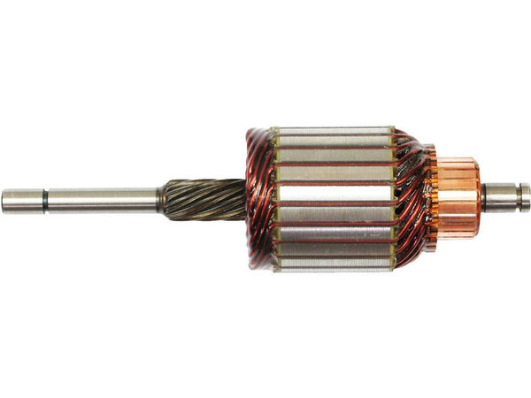 Rotor electromotor 130122