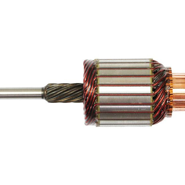 Rotor electromotor 130122