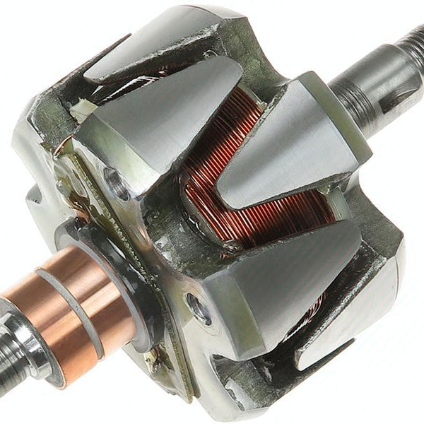 Rotor alternator 131643