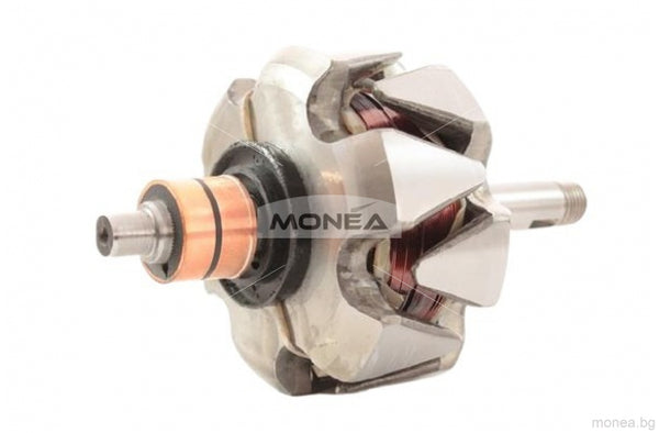 Rotor alternator 133188