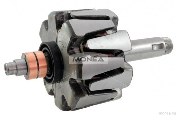 Rotor alternator 134732