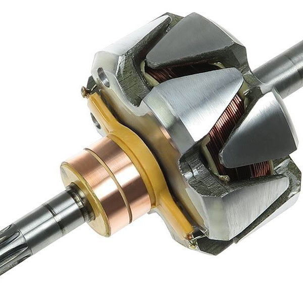 Rotor alternator 135141