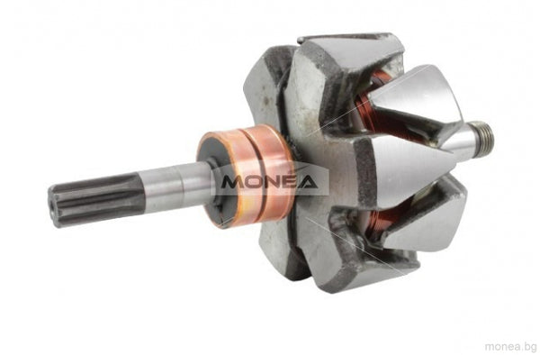 Rotor alternator 135592