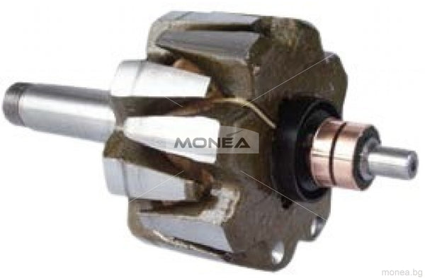 Rotor alternator 136579