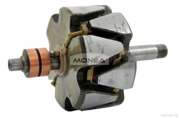 Rotor alternator 136829