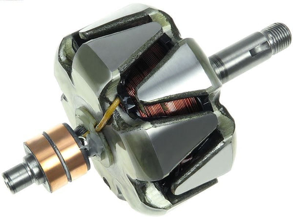 Rotor alternator 136829