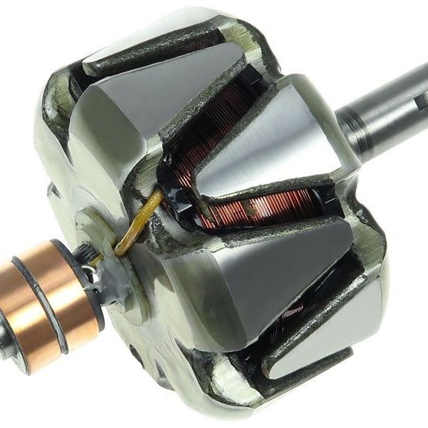 Rotor alternator 136829