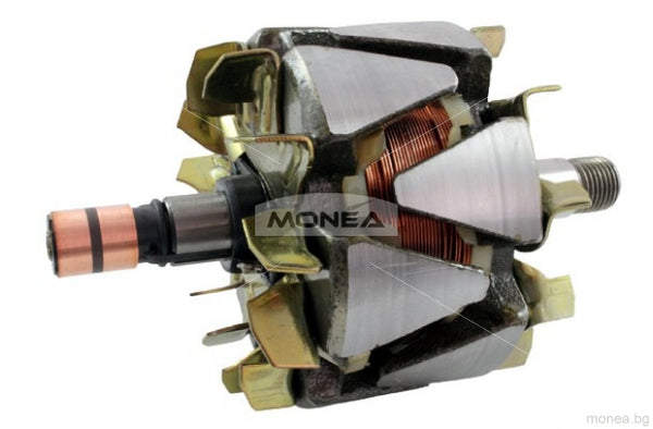 Rotor alternator 137331