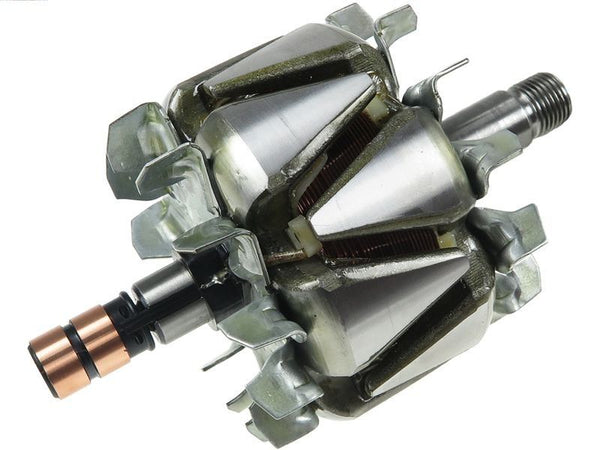 Rotor alternator 137331