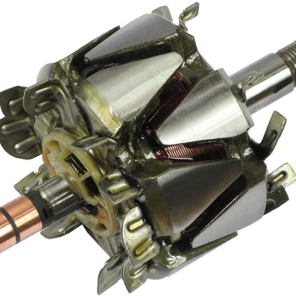 Rotor alternator 137523