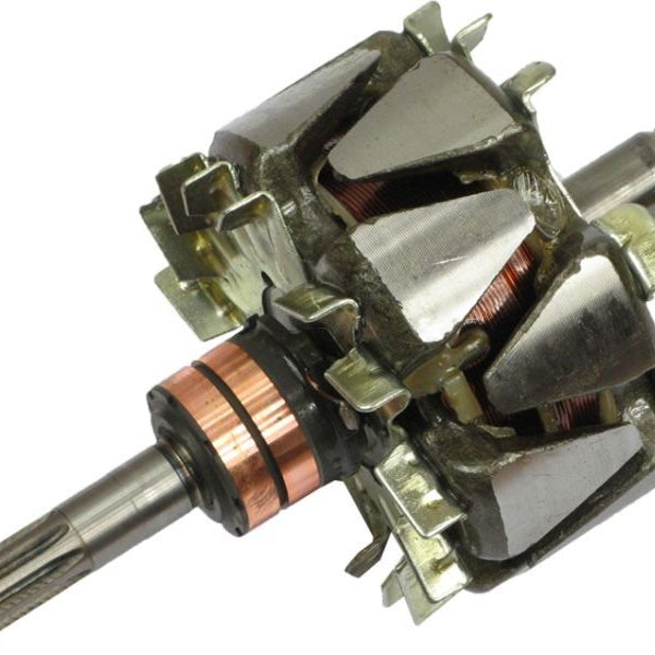 Rotor alternator 137563