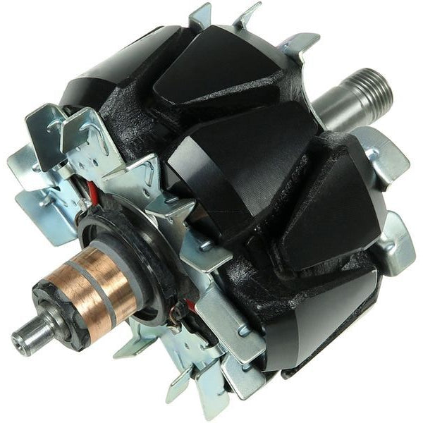 Rotor alternator 137851