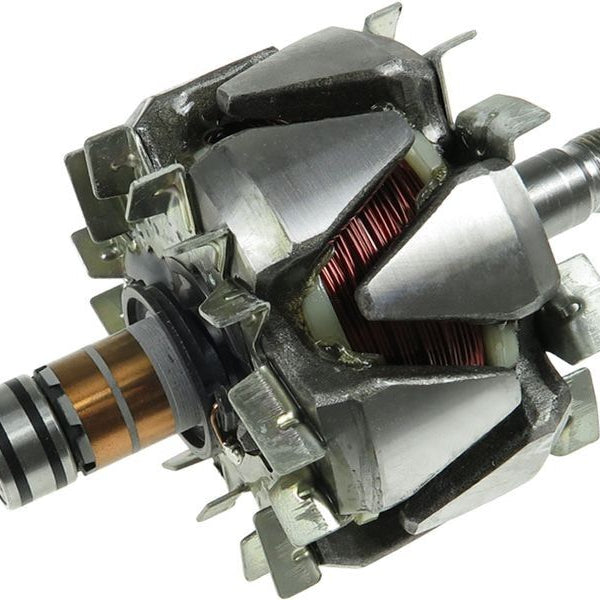 Rotor alternator 138403