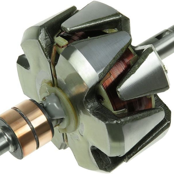 Rotor alternator 139405