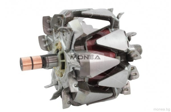 Rotor alternator 139447