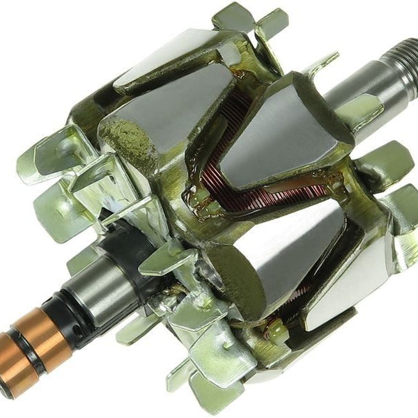 Rotor alternator 233854