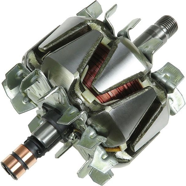 Rotor alternator 235054